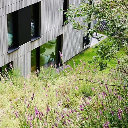Sauerland Lodge - Haus Juliana وينتربرغ المظهر الخارجي الصورة