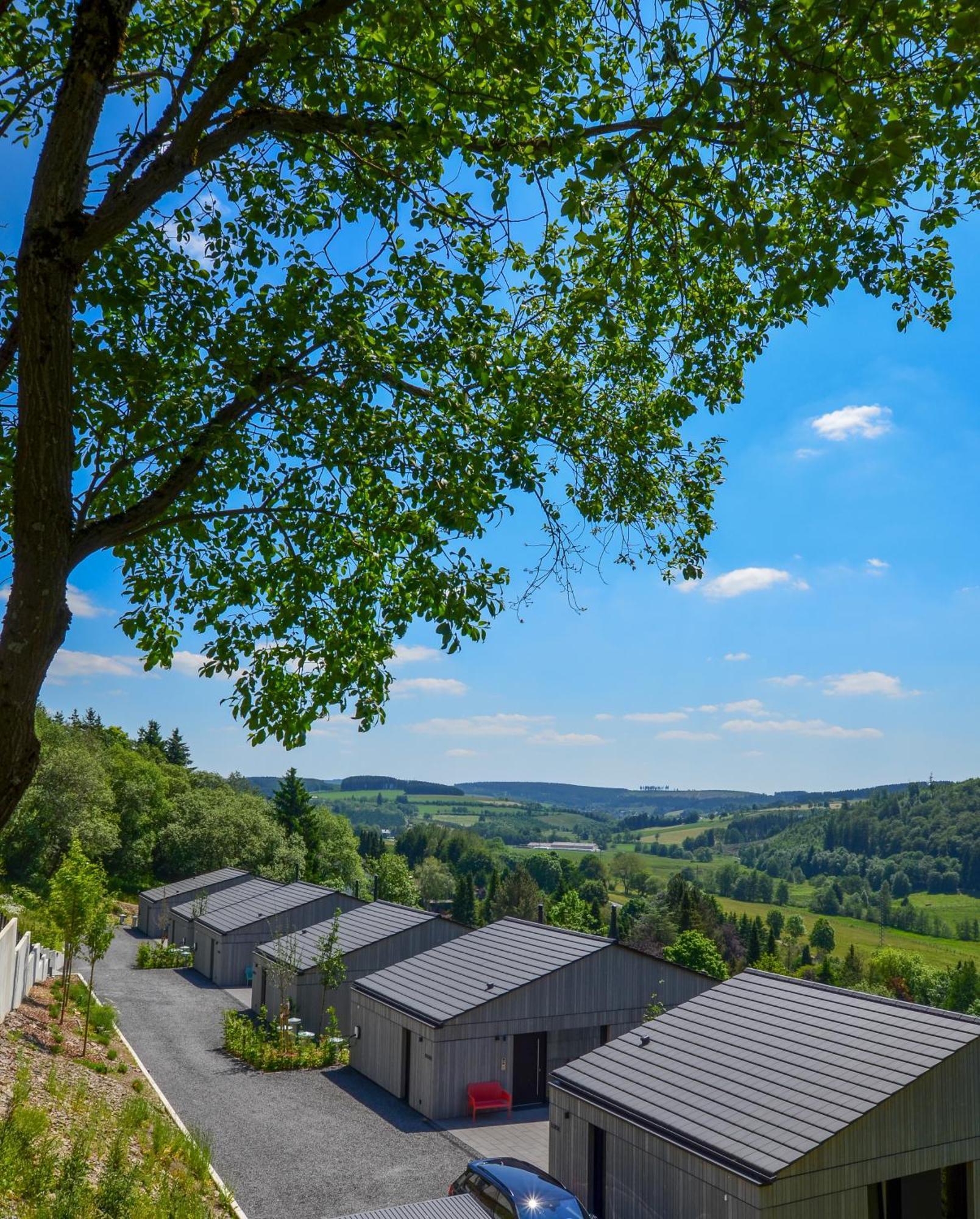 Sauerland Lodge - Haus Juliana وينتربرغ المظهر الخارجي الصورة
